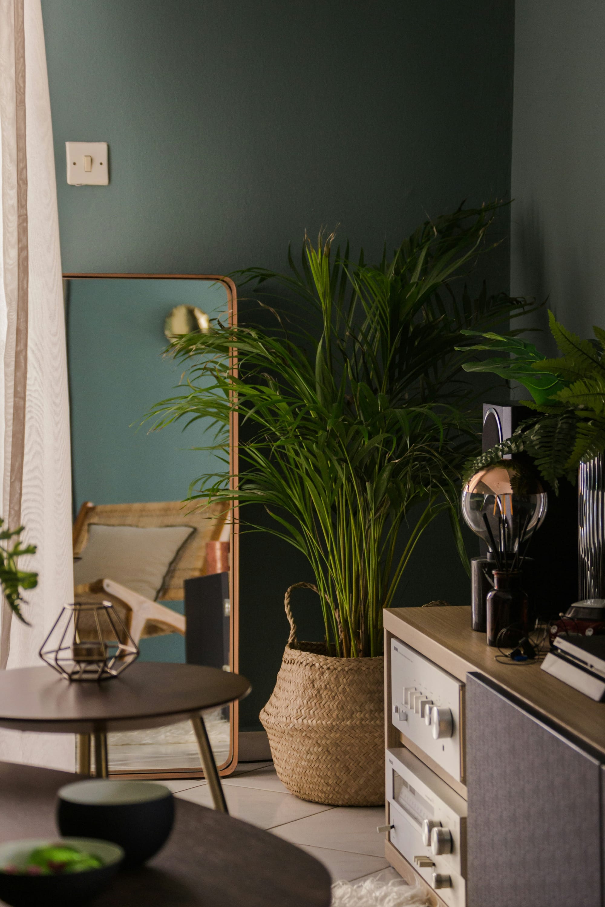 round mirror with black strap and plants