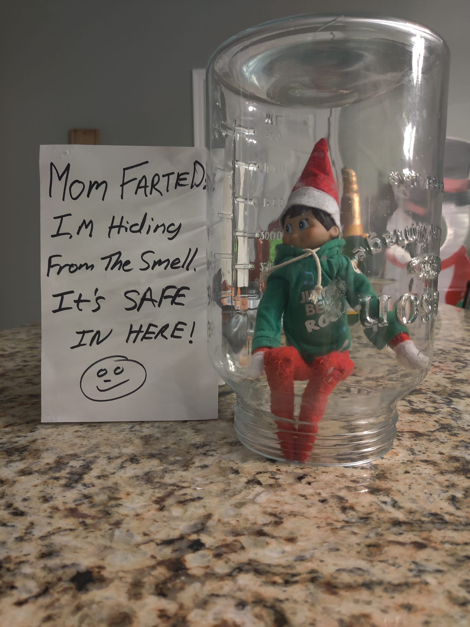 Alien Elf On The Shelf