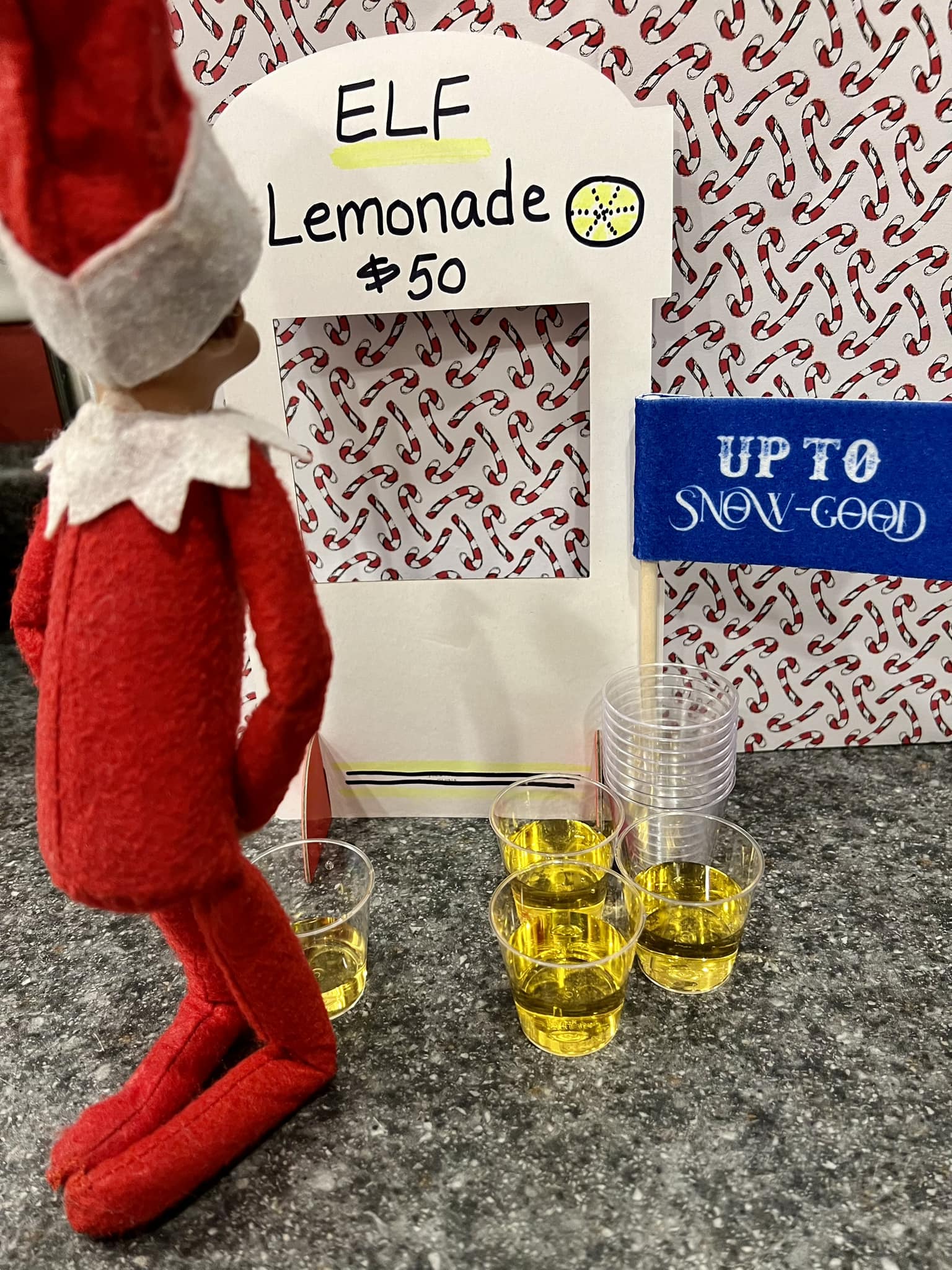 Elf On The Shelf Ideas For Hospitals