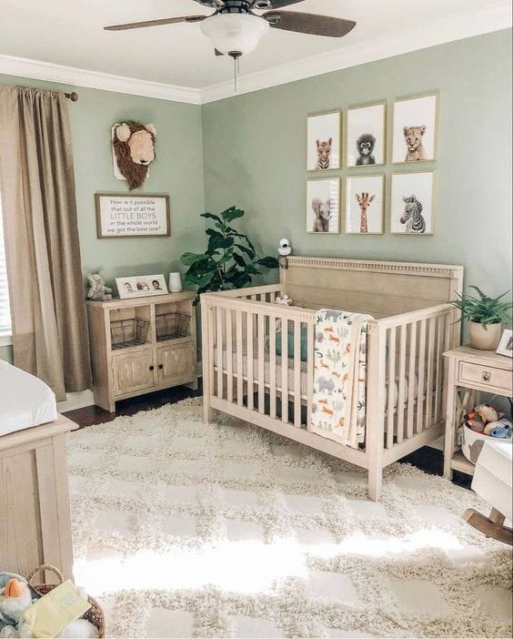 gender neutral nursery theme ideas