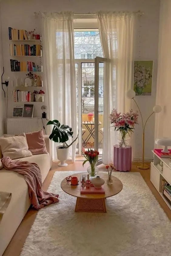 minimalist small living room