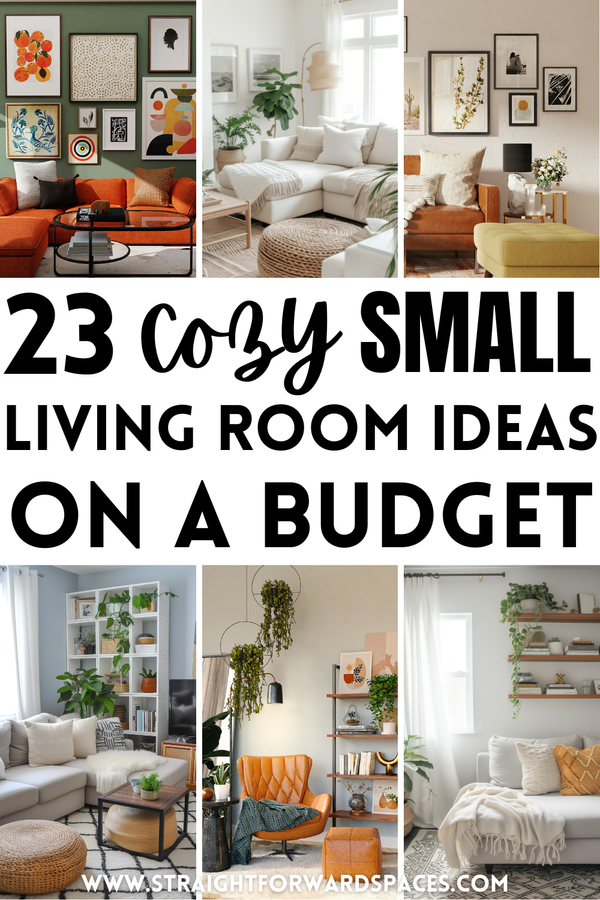 23 Easy Small Apartment Living Room Ideas On A Budget