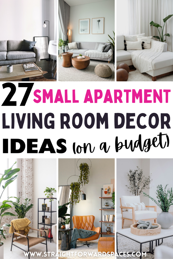 27 Best Small Apartment Living Room Decor Ideas On a Budget